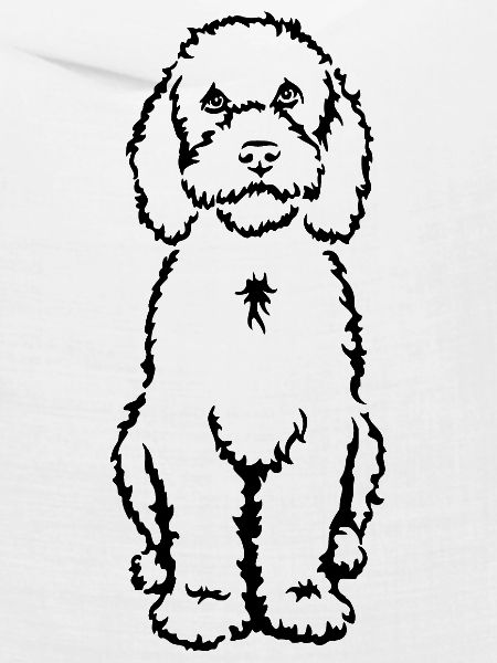 Portugiesischer Wasserhund