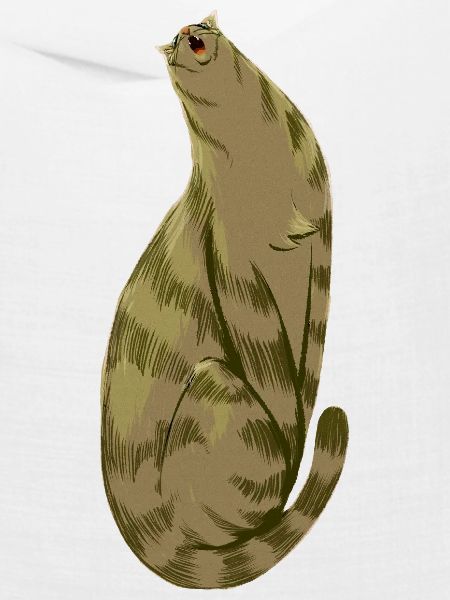 Squishy Olive