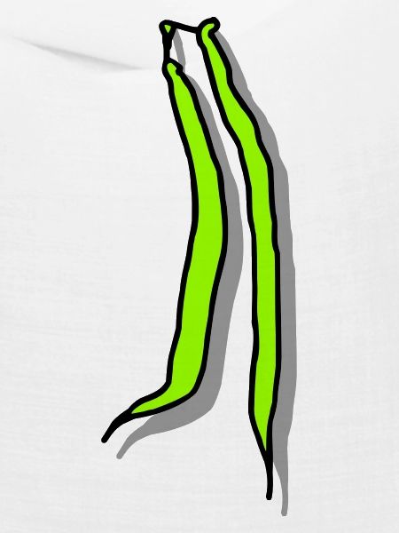 Stangenbohnen mit Schatten