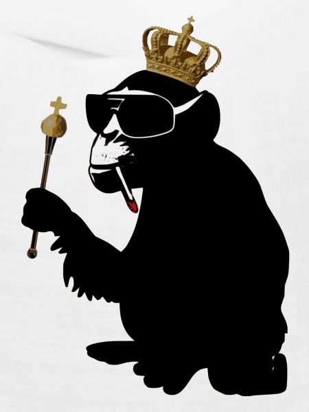 monkey hero