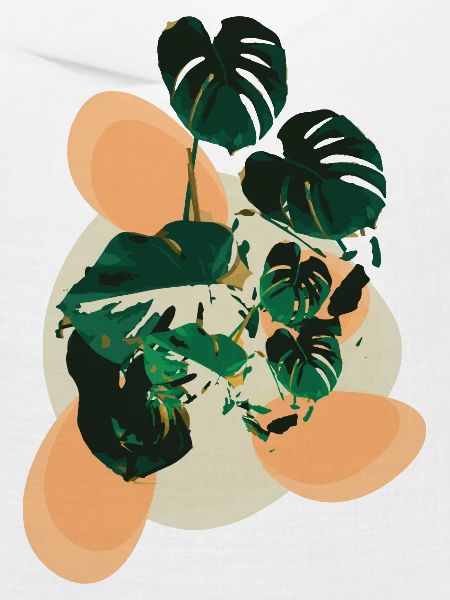 Monstera Flavour