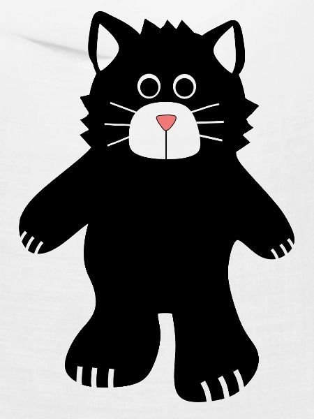 chat noir