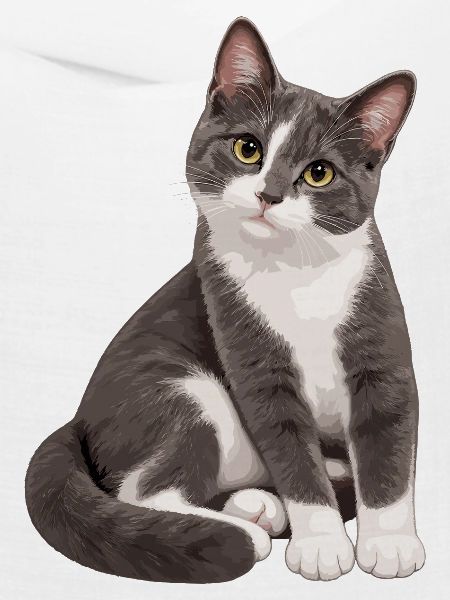 Balu