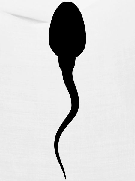 sperma