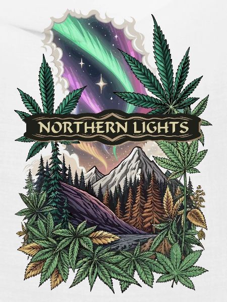 NORTHERN LIGHTS