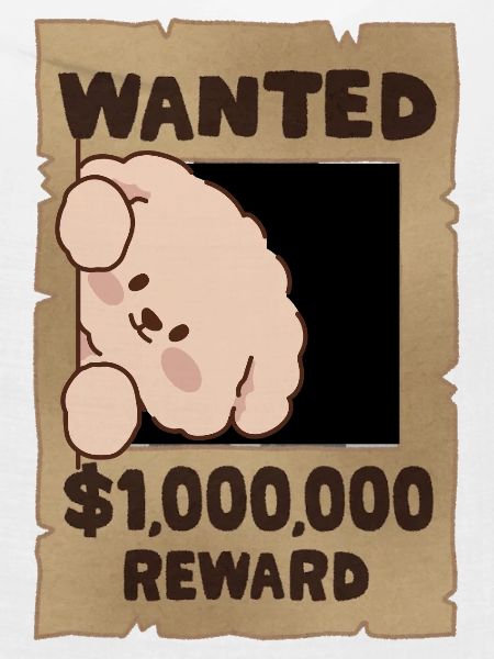 Hund gesucht