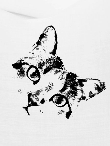 Katzengesicht