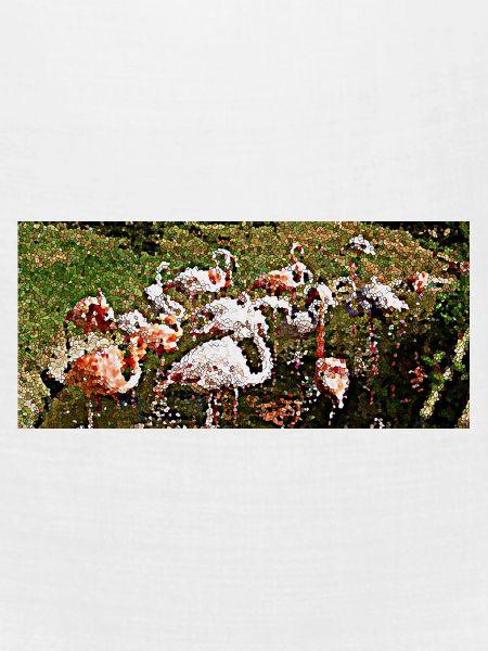Flamingos