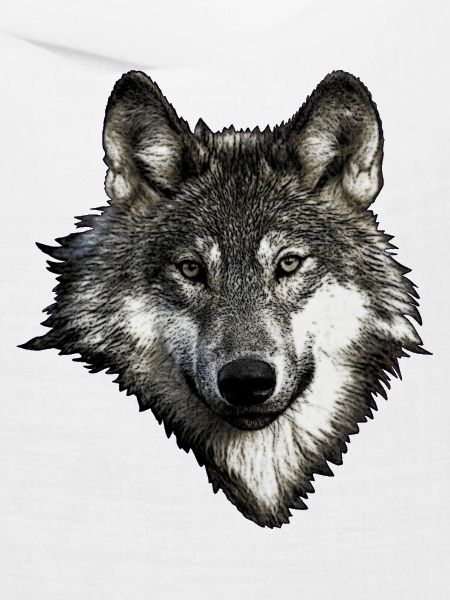 Wolfsgesicht