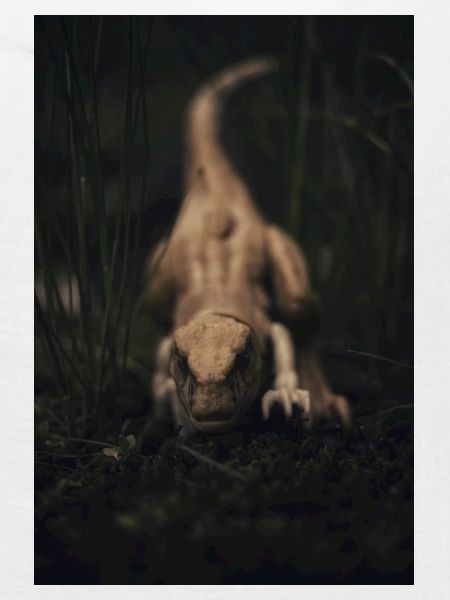 Raptor