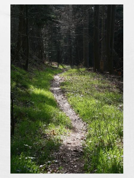 GREEN WAY