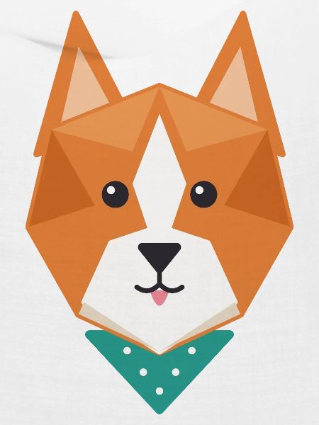 Geometrischer Fuchs