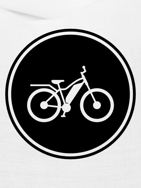 ebike fahrrad