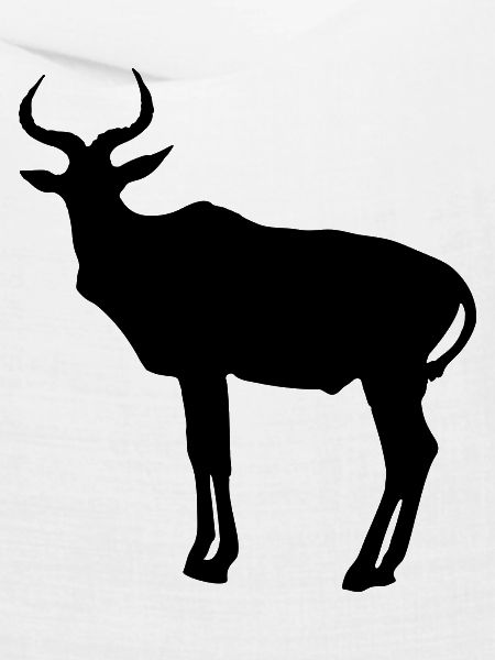 Antilope