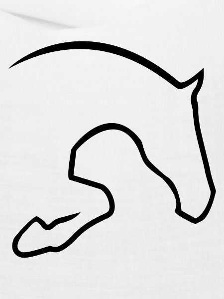 Springpferd