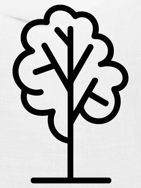 Baum