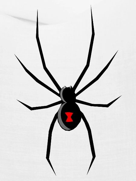 spid 48