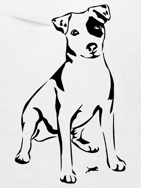 Jack Russel