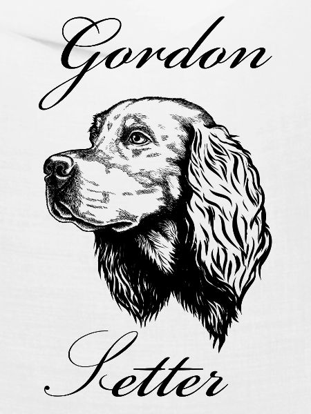 Gordon Setter Portrait