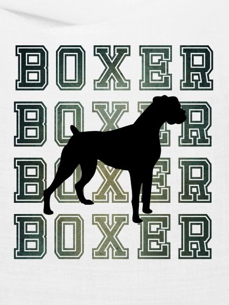 Disko Retro Boxer Hund