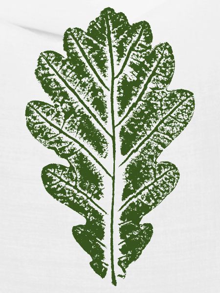 Eichenblatt / Blätter Design