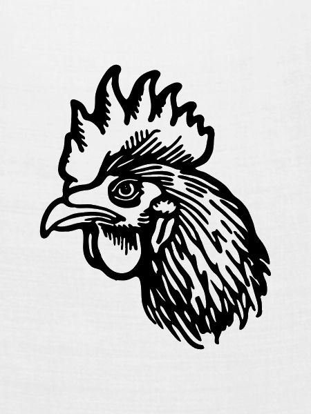 Huhn Hühnerstall