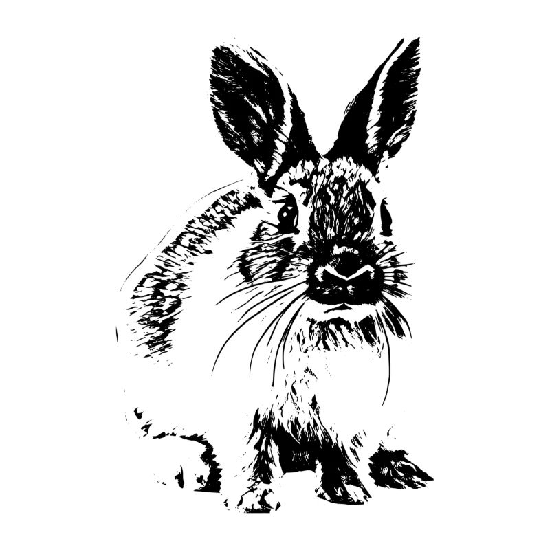 Lapin