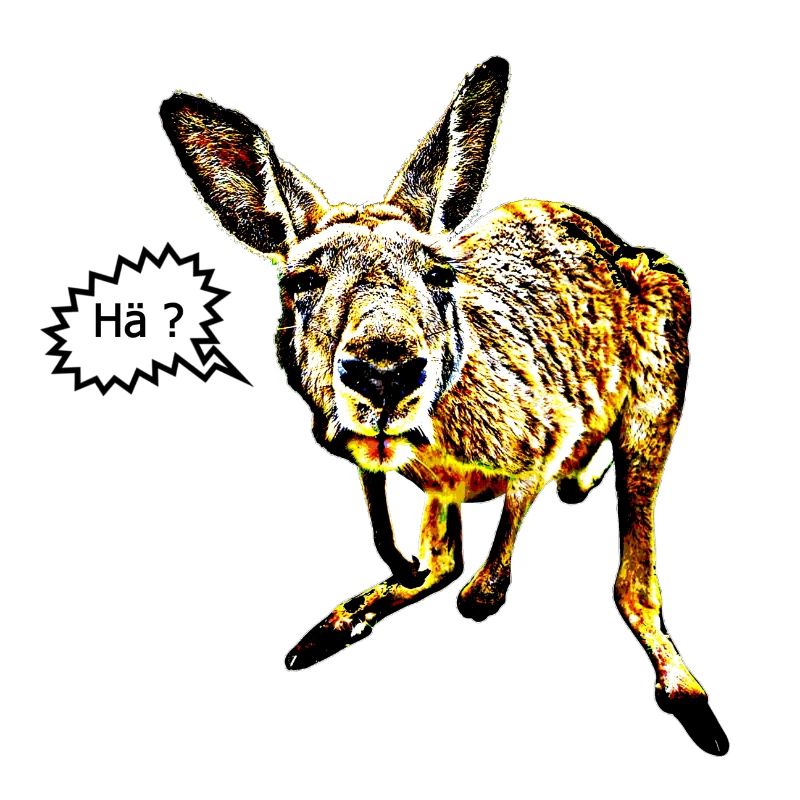 Kangaroo