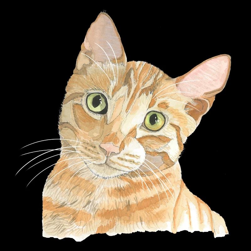 red cat