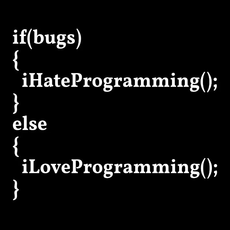 LoveProgramming, HateBugs! #InformatikerHumor