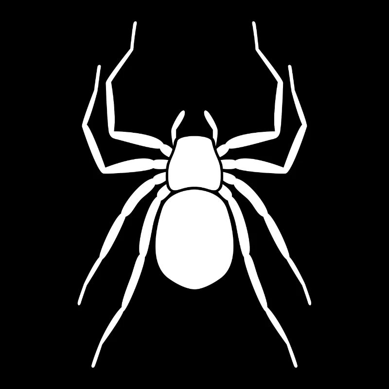 spider