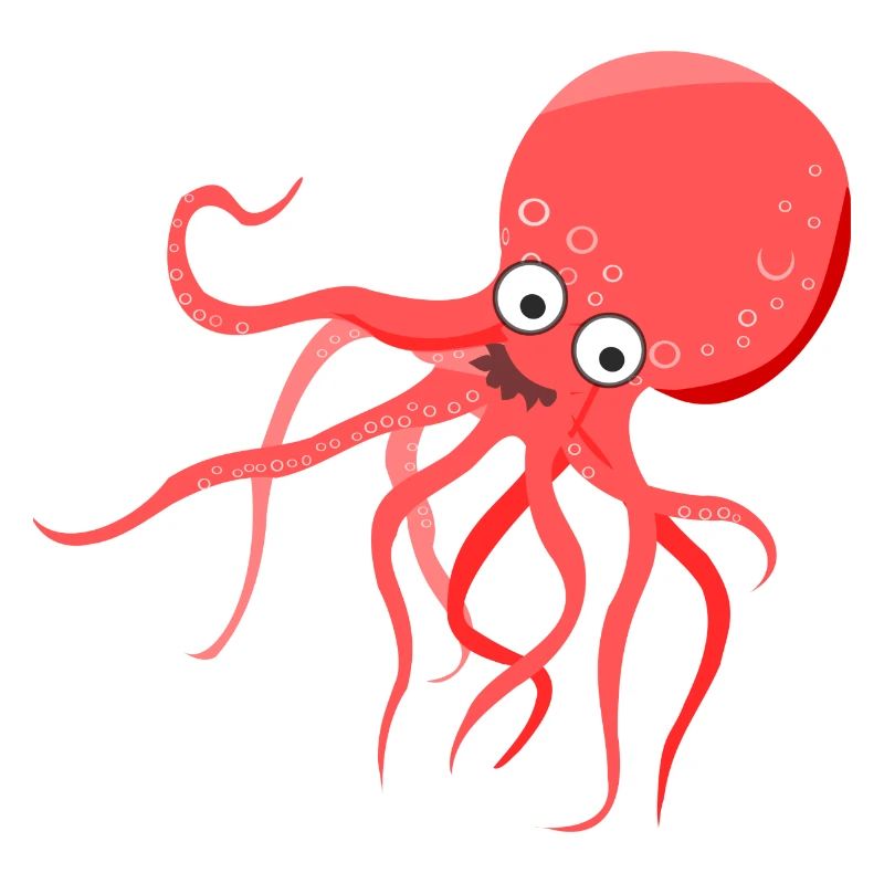 squid giant octopus octopus octopus squid sepia fish