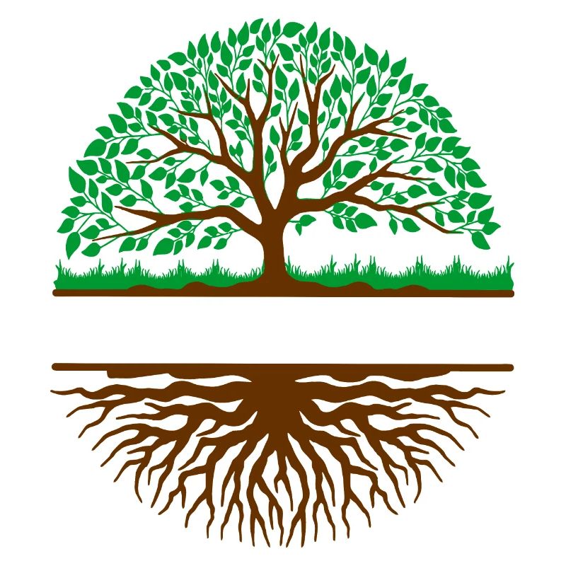 Tree with roots banner 3