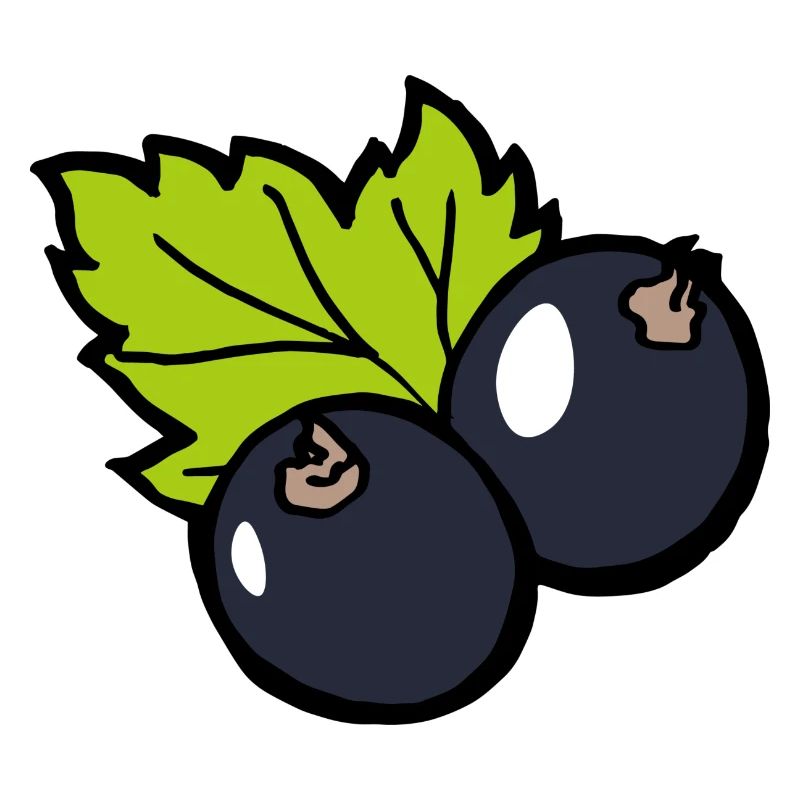 Cassis BlackCurrant Funny Gift Fruit