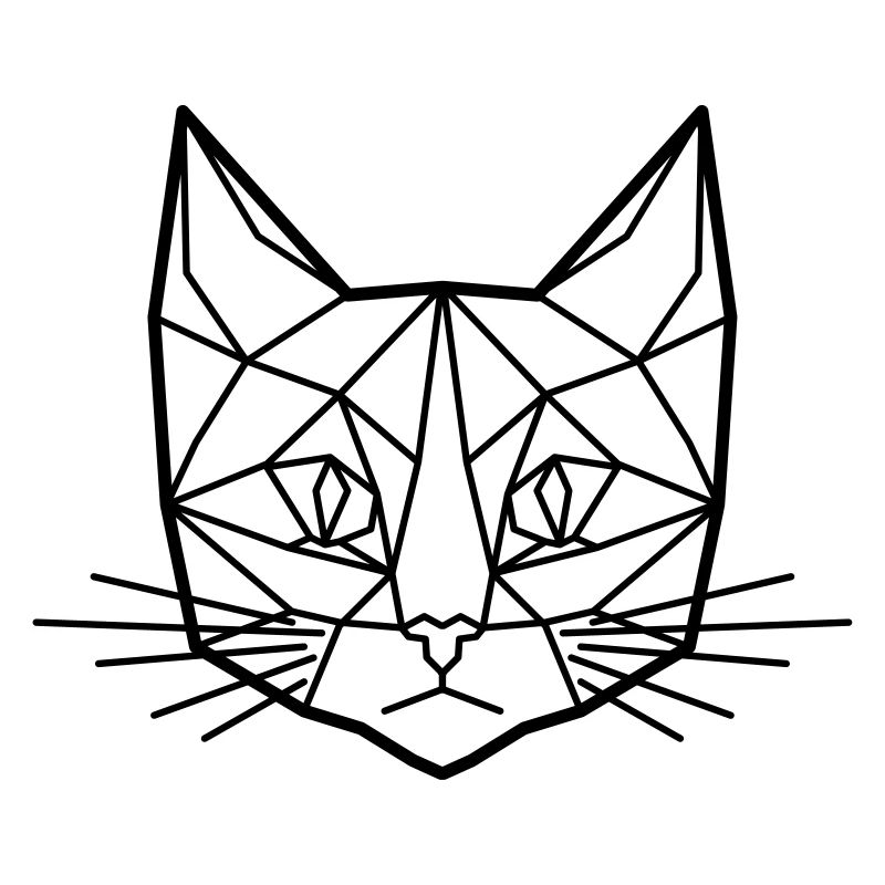 Chat polygone