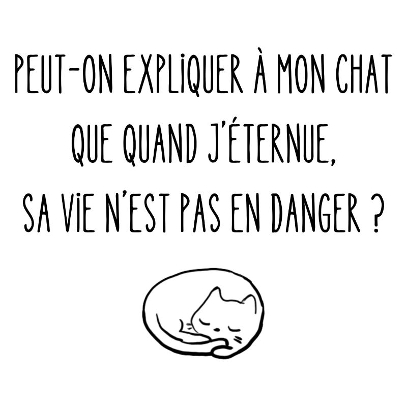 peut-on expliquer à mon chat