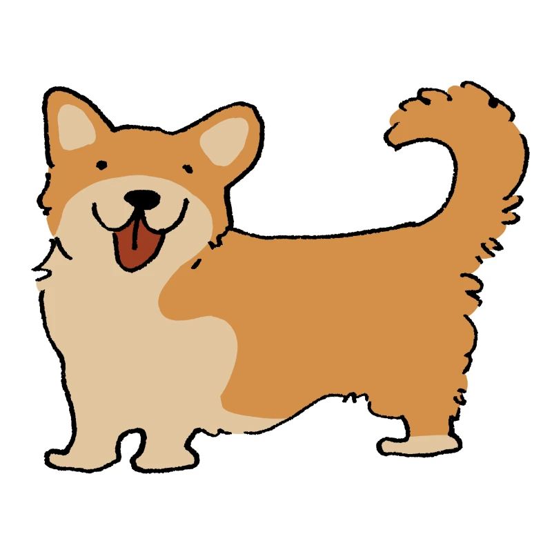 Corgi