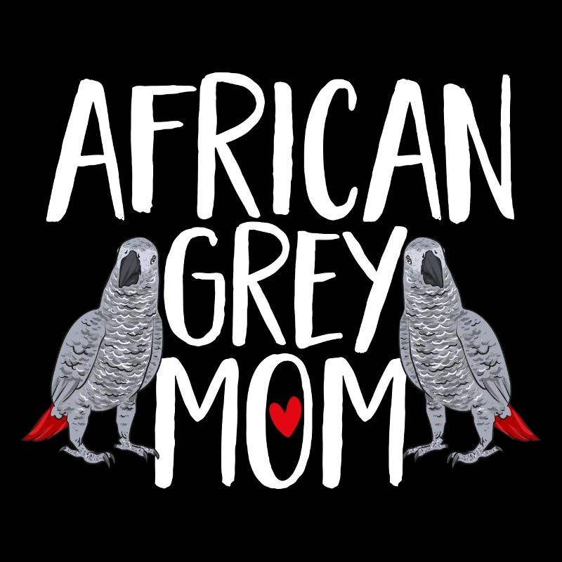 Graupapagei Perroquet gris d’Afrique Papagei