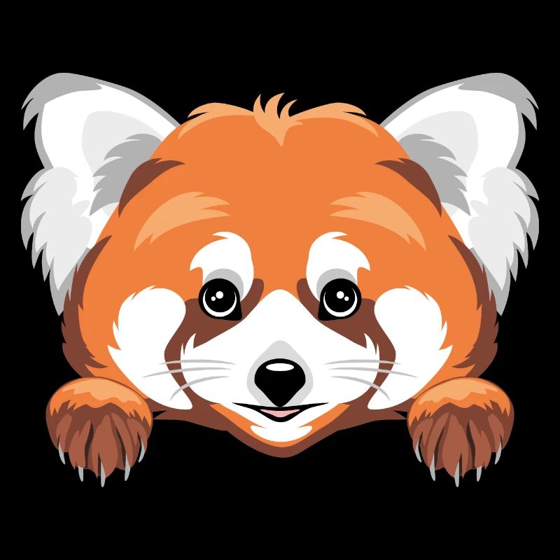 Coup d’œil mignon panda roux