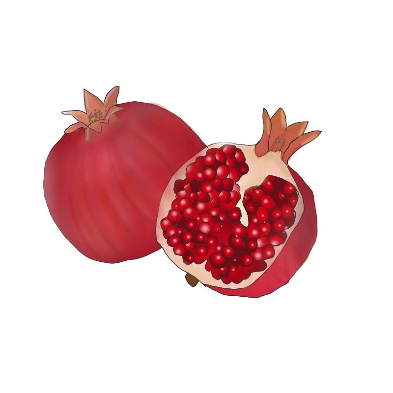 Grenade logo graphique fruit fruit dessin