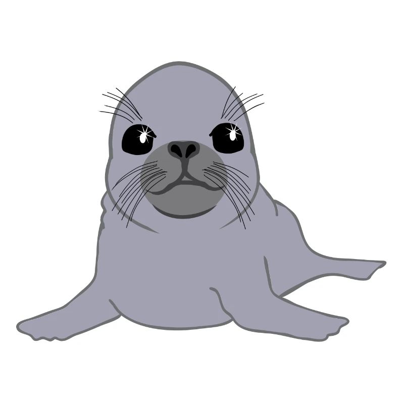 Seal - phoque