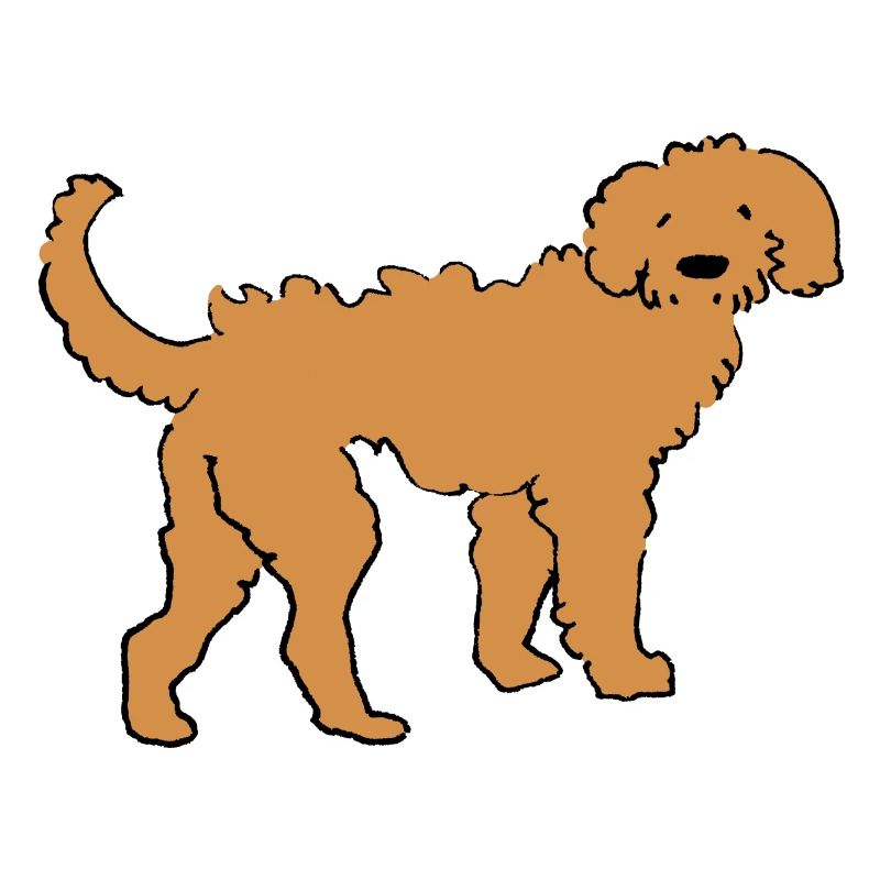 Doodle doré