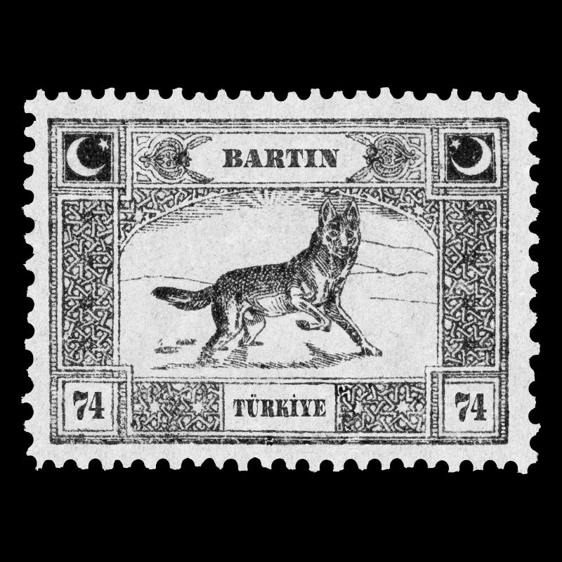 Bartın