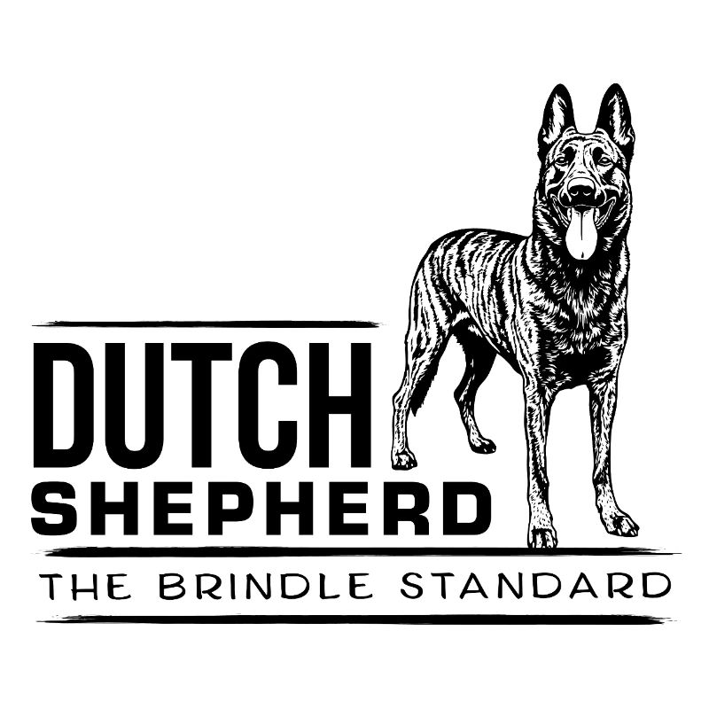 Dutch Shepherd - Dutchie 