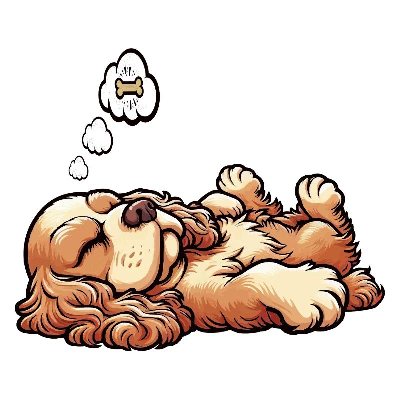 Cocker Spaniel Cocker Chien Cocker Propriétaire de cocker Spaniel