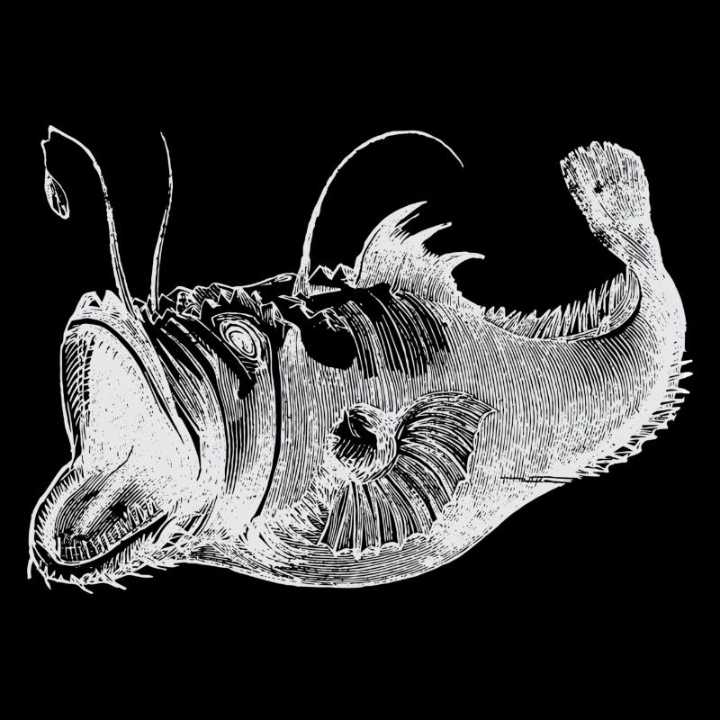 Poisson profond blanc