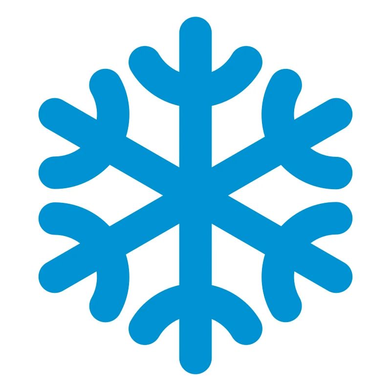 snowflake / fiocco di neve / flocon de neig / copo