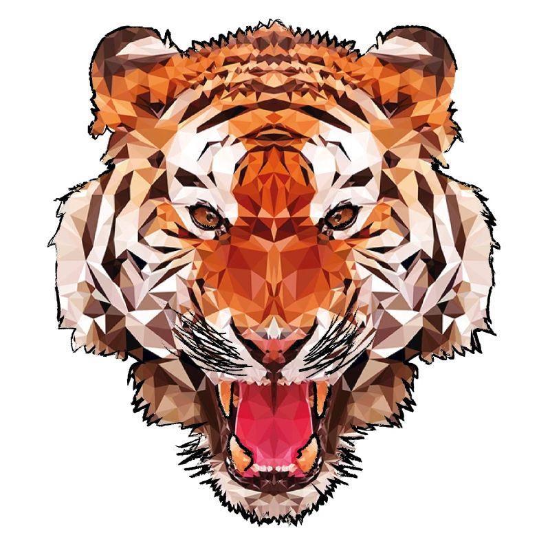 Conception de polygone de tigre