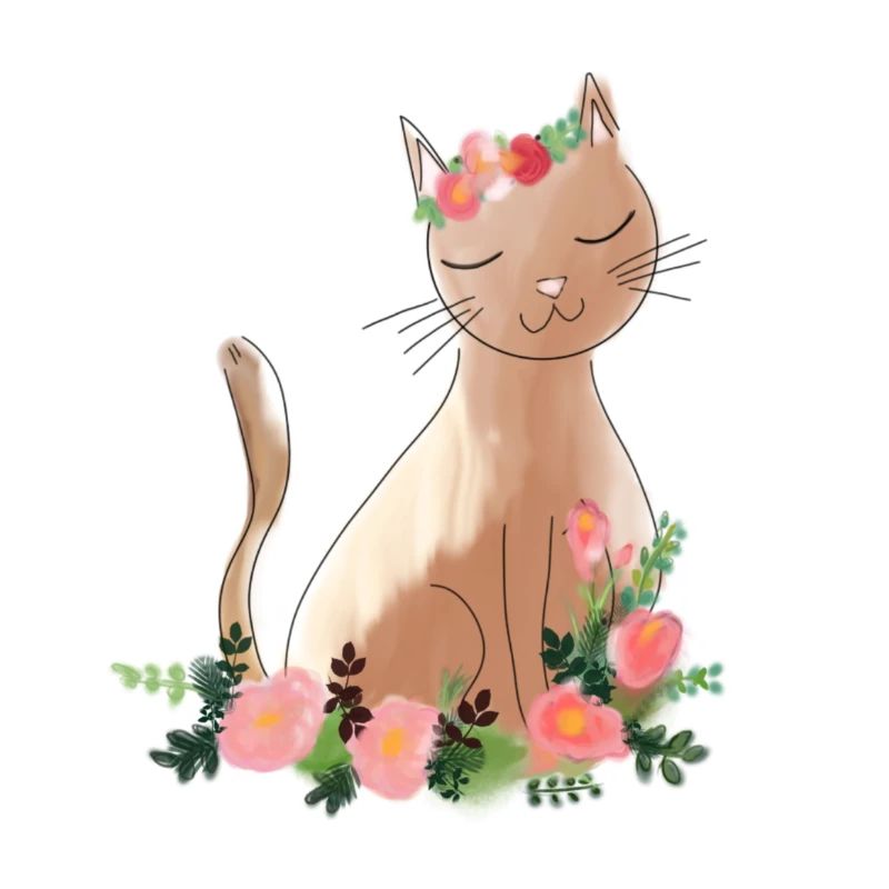 Katze