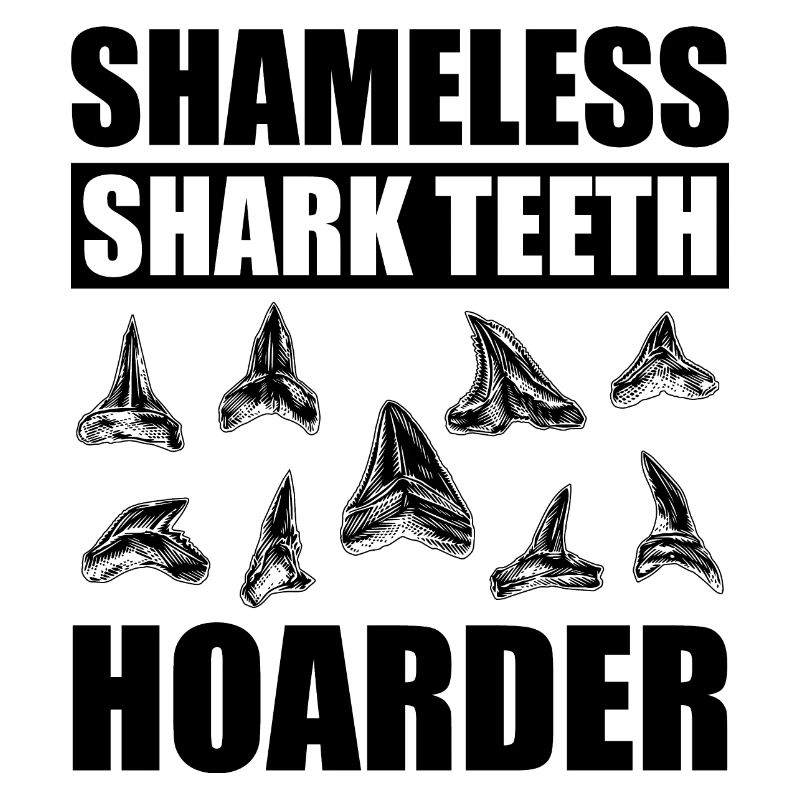 fossilized shark teeth